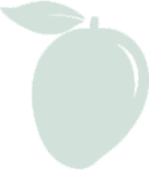 ico_16